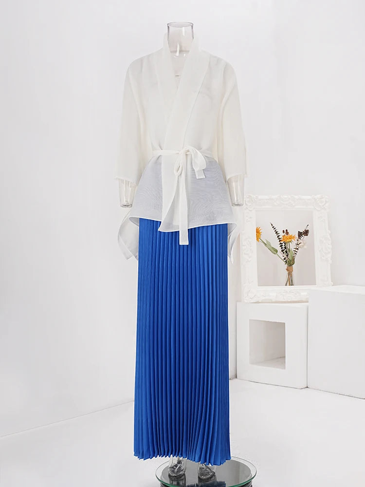 Pleated Blouse & Skirt Set